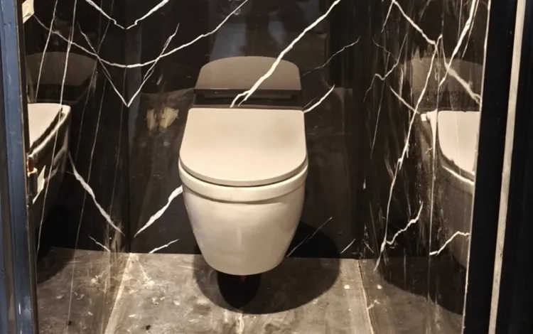 Carrelage et pose de WC